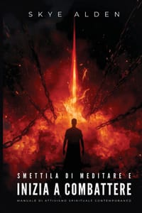 Smettila di Meditare e Inizia a Combattere: Manuale di Attivismo Spirituale Contemporaneo cover