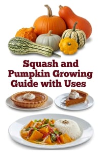 Squash and Pumpkin Growing Guide with Uses cover