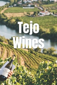 Tejo Wines cover