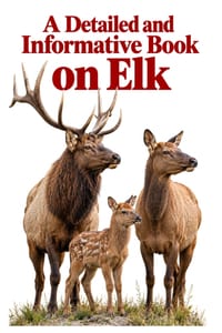 A Detailed and Informative Book on Elk cover