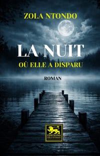 La nuit où elle a disparu cover