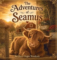 The Adventure of Seamus cover