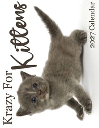 Krazy For Kittens 2027 Calendar cover