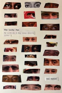 The Lucky Fan cover