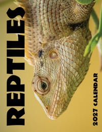 Reptiles 2027 Calendar cover