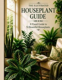 The Illustrated Houseplant Guide: A Visual Guide to 53 Beautiful Houseplants cover