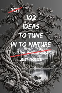 102 Ideas To Tune In To Nature: No Perfect Awareness. No Constant Connection. Simple Everyday Ideas To Notice Nature Around You, Engage With Your Envi cover