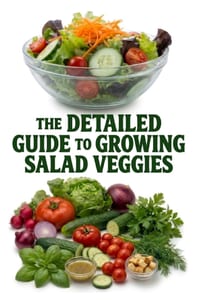 The Detailed Guide to Growing Salad Veggies cover