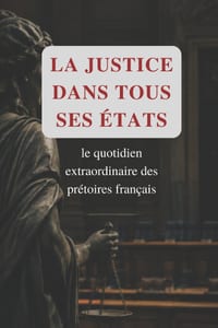 La justice dans tous ses états: Le quotidien extraordinaire des prétoires français cover