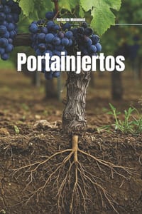 Portainjertos cover