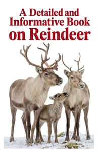 A Detailed and Informative Book on Reindeer cover