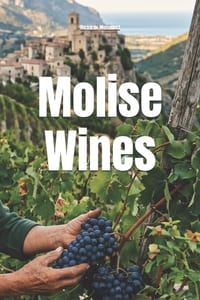 Molise Wines cover