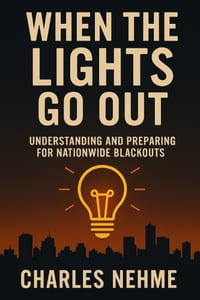 When the Lights Go Out: Understanding and Preparing for Nationwide Blackouts cover