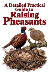 A Detailed Practical Guide to Raising Pheasants cover