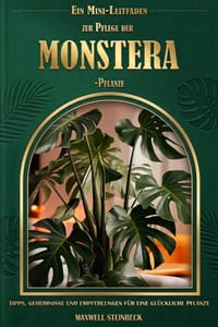 Ein Mini-Leitfaden zur Pflege der Monstera-Pflanze cover