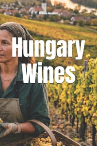 Hungary Wines cover