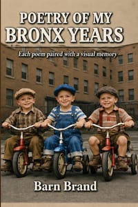My Bronx Years cover