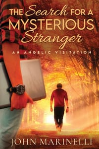 The Search for A Mysterious Stranger: An Angelic Visitation cover