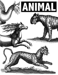 Animal: Esoteric Animal Tattoo and Art Reference cover