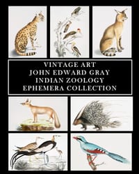 Vintage Art: John Edward Gray: Indian Zoology Ephemera Collection: 65 Images for Framing, Collages, Scrapbooks and Decoupage cover