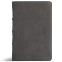 CSB Thinline Bible, Easy-To-Read Optimal Type, Holman Handcrafted Collection, Marbled Slate Premium Calfskin cover