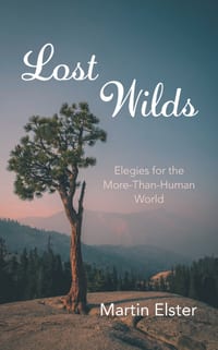 Lost Wilds cover