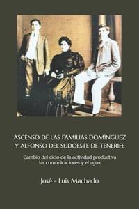 Ascenso de Las Familias Domínguez Y Alfonso del Sudoeste de Tenerife: Cambio del ciclo de la actividad productiva las comunicaciones y el agua cover
