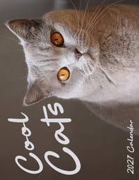 Cool Cats 2027 Calendar cover
