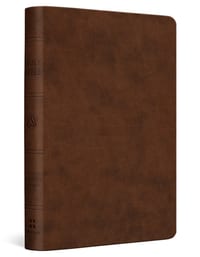 ESV Value Compact Bible (Trutone, Brown) cover