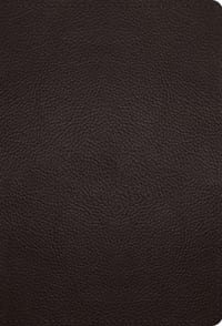 ESV Large Print Compact Bible, Red Letter (Buffalo Leather, Deep Brown) cover