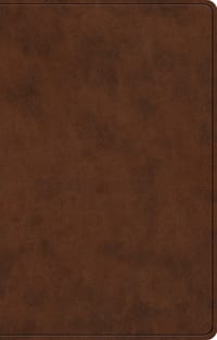 ESV Premium Gift Bible (Trutone, Brown) cover