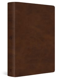ESV Giant Print Bible, Red Letter (Trutone, Deep Brown) cover