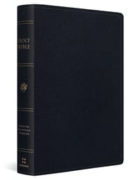 ESV Giant Print Bible, Red Letter (Genuine Leather, Black) cover