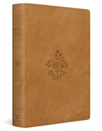 ESV Giant Print Personal Size Bible, Red Letter, Thumb Indexed (Trutone, Nubuck Caramel, Wildflower Design) cover
