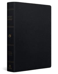 ESV Giant Print Personal Size Bible, Red Letter (Genuine Leather, Black) cover