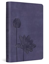 ESV Compact Bible (Trutone, Lavender, Bloom Design) cover