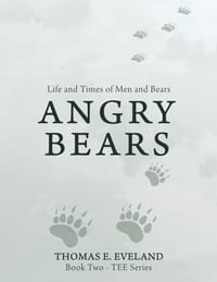 Angry Bears cover