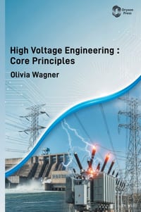 High Voltage Engineering: Core Principles cover