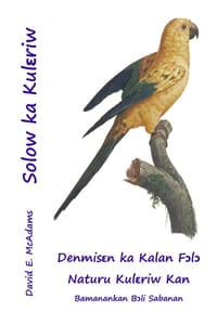 Solow ka Kulɛriw cover