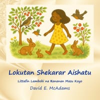 Lokutan Shekarar Aishatu: Littafin Lambobi na Ƙananan Masu Koyo cover
