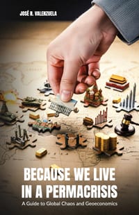 Because We Live in a Permacrisis, A Guide to Global Chaos and Geoeconomics cover