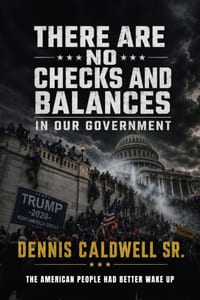 There Are No Checks and Balances in Our Government, the American People Had Better Wake Up cover
