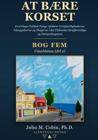 At bære korset - BOG FEM: En Grin cover