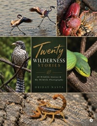 Twenty Wilderness Stories: 20 Wildlife Stories and My Wildlife Photography cover