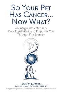 So Your Pet Has Cancer... Now What?: An Integrative Veterinary Oncologist's Guide to Empower You Through This Journey cover