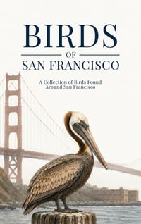 Birds of San Francisco: A Collection of Birds Found Around San Francisco cover