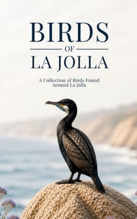 Birds of La Jolla: A Collection of Birds Found Around La Jolla cover
