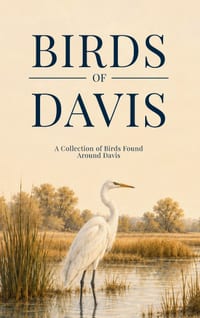 Birds of Davis: A Collection of Birds Found Around Davis cover