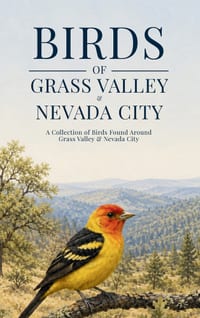 Birds of Grass Valley & Nevada City: A Collection of Birds Found Around Grass Valley & Nevada City cover