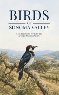 Birds of Sonoma Valley: A Collection of Birds Found Around Sonoma Valley cover
